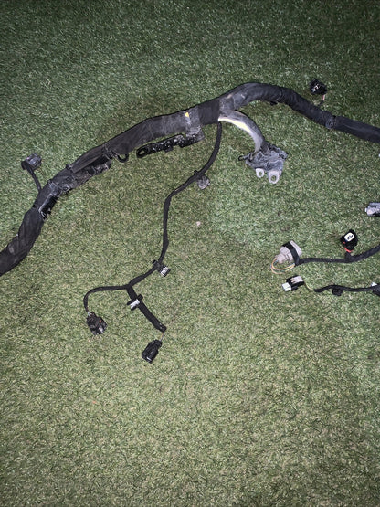 Cablaggio Motore Ford Fiesta 2019 Mk7 1.0 Benzina 85 Cv H1bt12c508cba