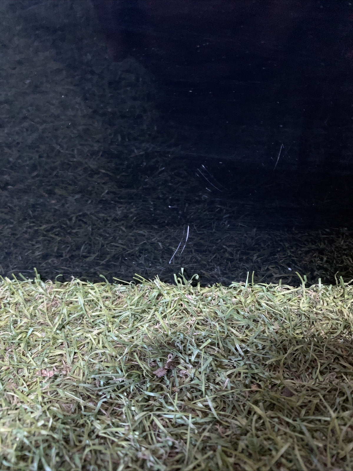 COFANO PORTELLONE BAULE POSTERIORE FORD KA+ 2019