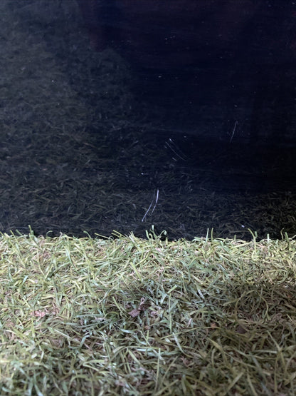 COFANO PORTELLONE BAULE POSTERIORE FORD KA+ 2019