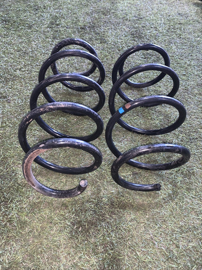 Molle ammortizzatori posteriore golf 7 1.6