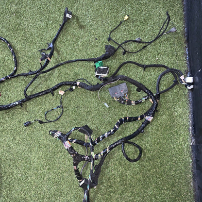 Cablaggio Abitacolo Ford ECOSPORT LN15-14A005-PGF