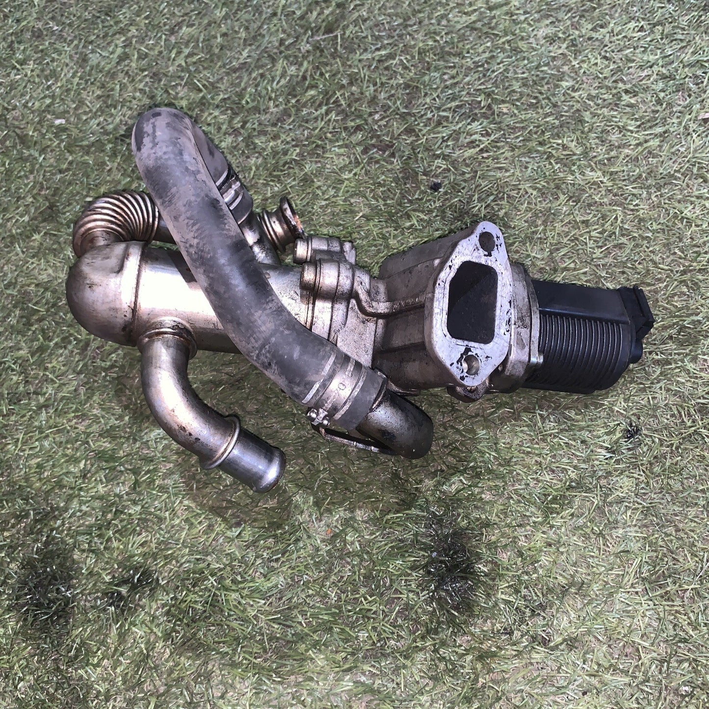 55219498 VALVOLA EGR BY PASS LANCIA MUSA 1.3