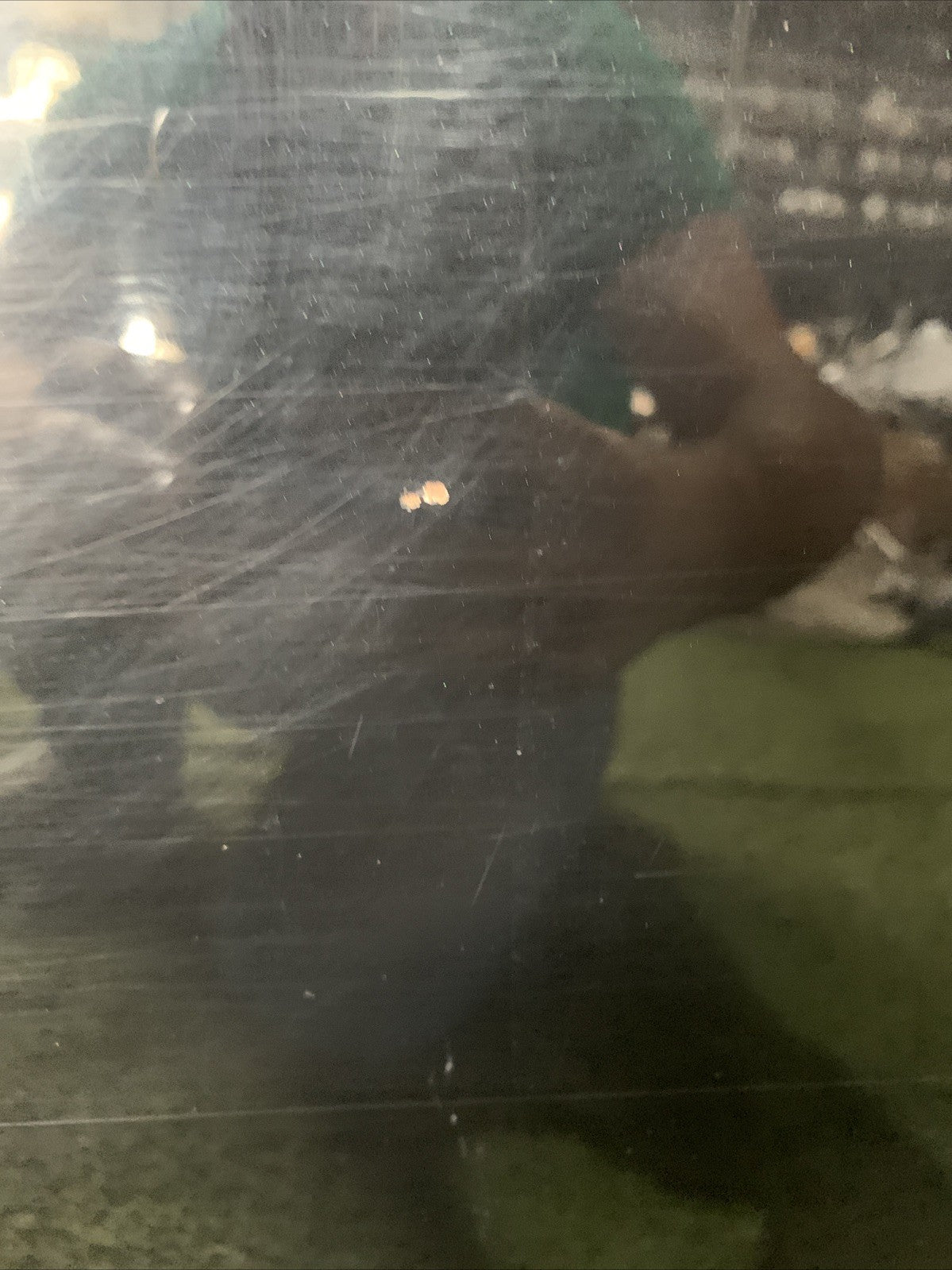 Porta Portiera Sportello Posteriore Destro Peugeot 208 2017