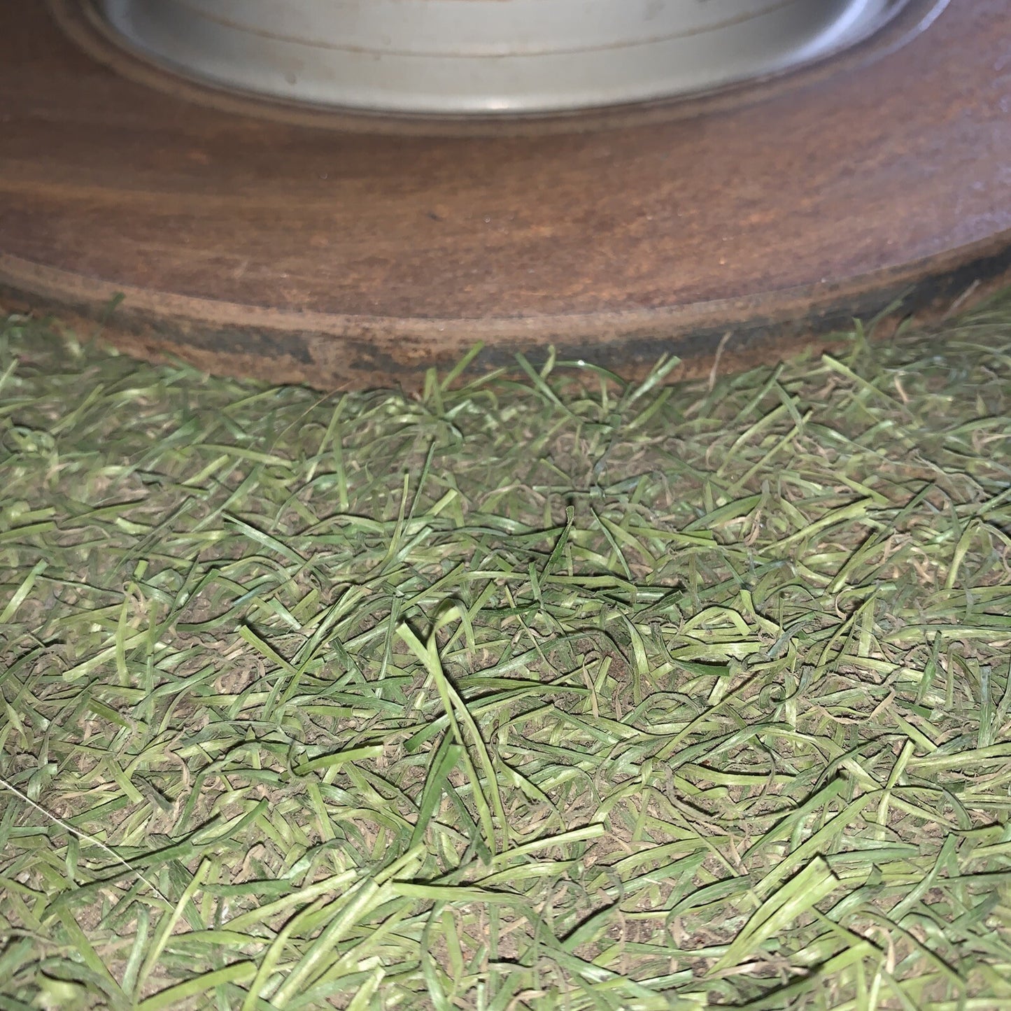 Dischi E Pasticche Posteriori Fiat 500X 1.3 Multijet Originali