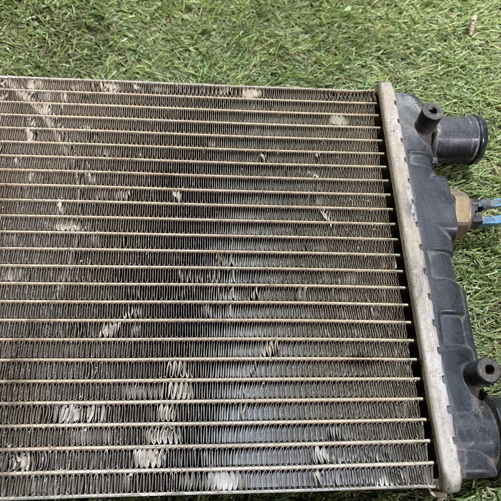 Radiatore Acqua Raffreddamento Motore Per Fiat Cinquecento Seicento 1.1 900 0.9