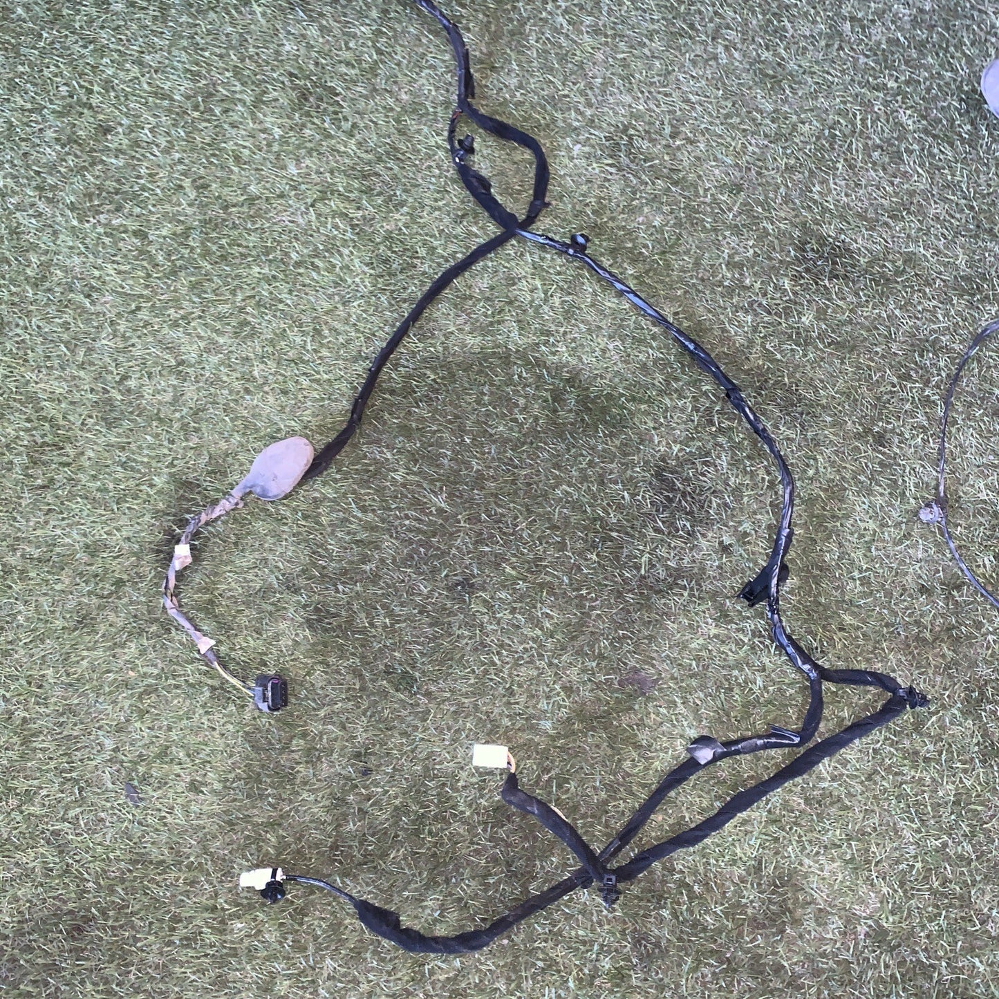 Cablaggio Abitacolo Fiat Panda 2019 1.2 Benzina 52100631