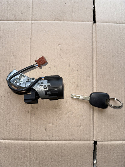 Blocchetto chiave avviamento Citroen Cod N0502455