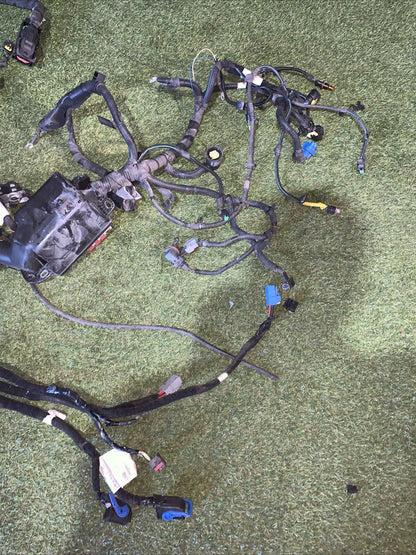 Cablaggio Vano Motore Fiat Tipo 2016 1.6 052058151-00