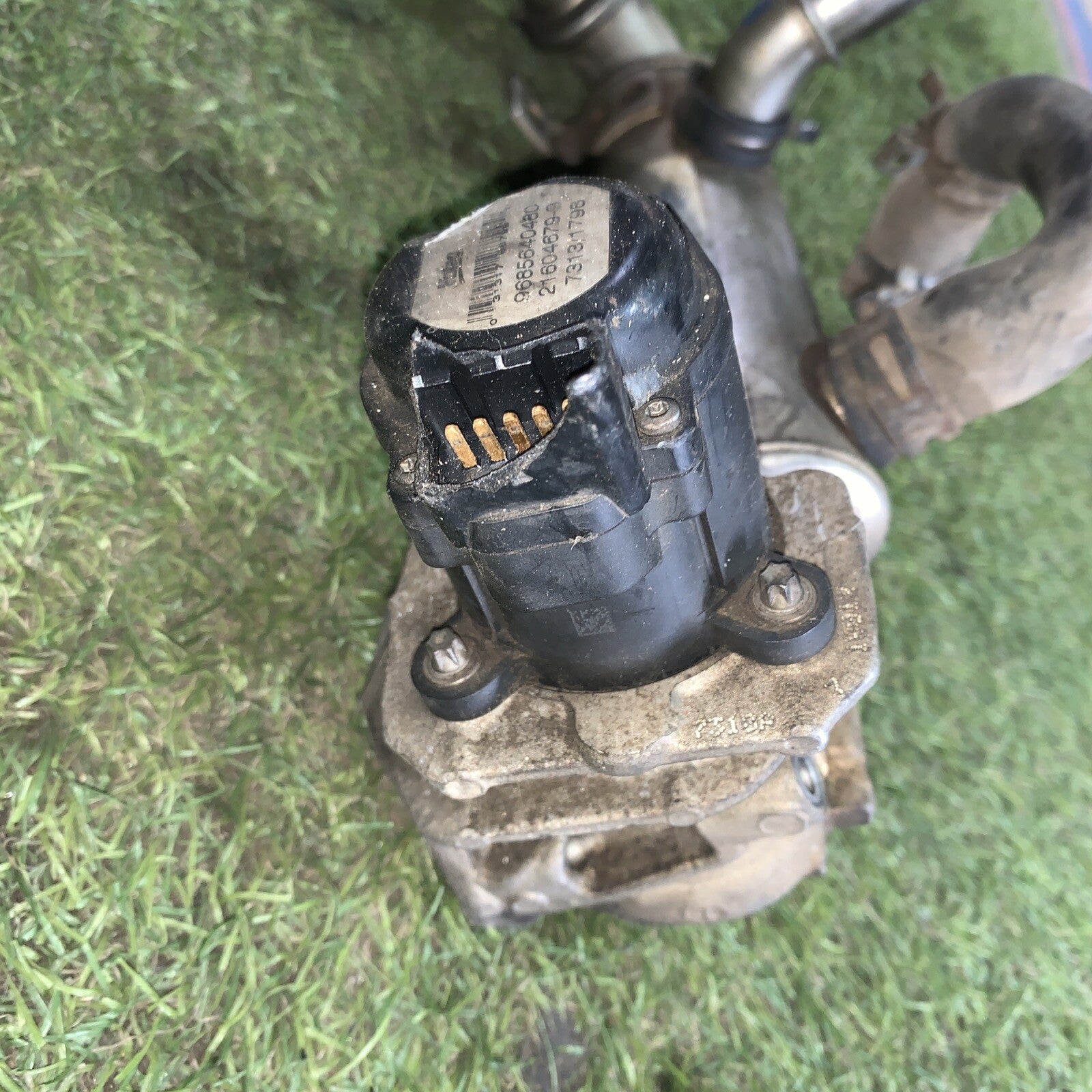 RADIATORE SCARICO GAS EGR PEUGEOT 3008 Serie 9646762280 Diesel 1600