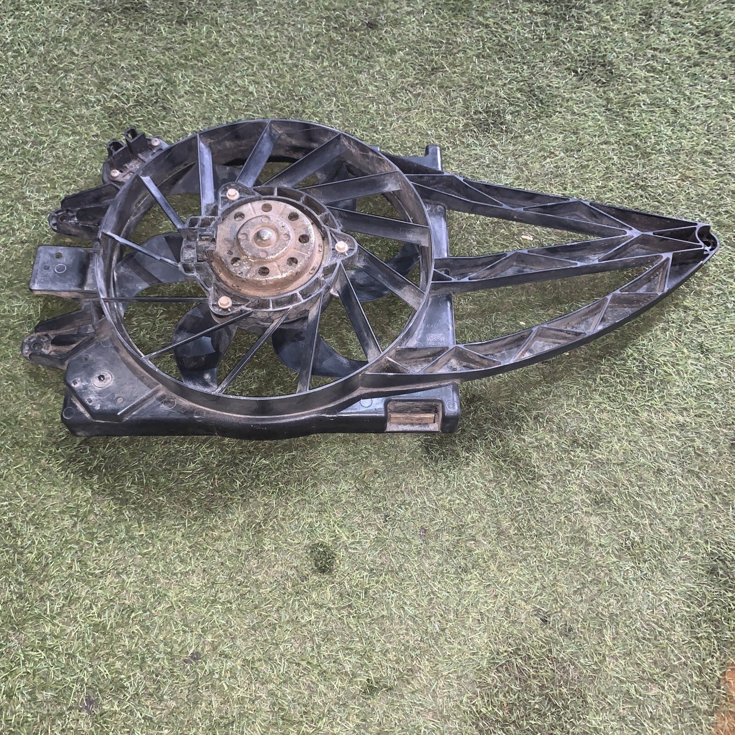 VENTOLA RADIATORE MOTORE FIAT PANDA (169) [2003-2012] 51732069