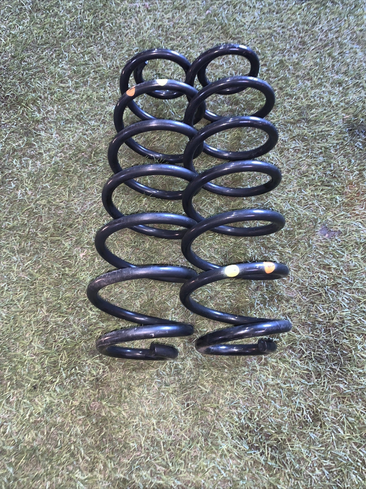 Molle ammortizzatori posteriore ford ecosport 1.0 2018