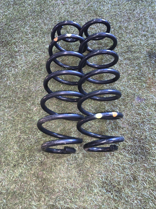 Molle ammortizzatori posteriore ford ecosport 1.0 2018